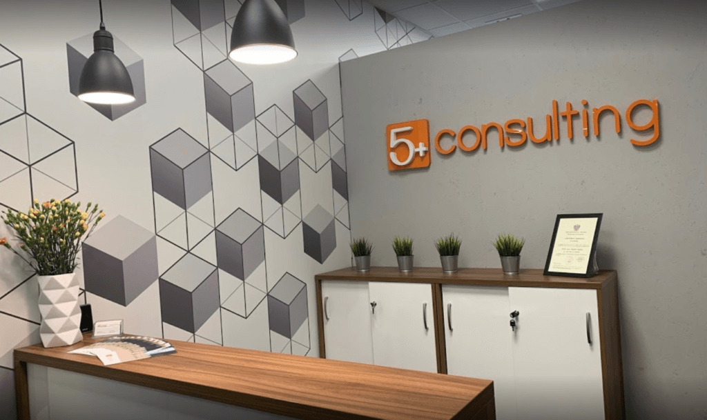 5+ consulting