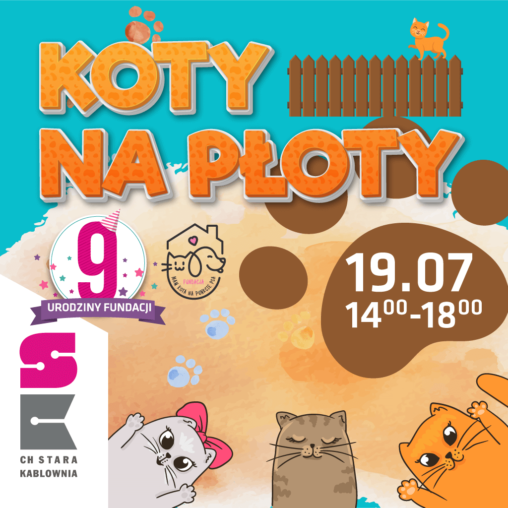 Koty na płoty – event z Fundacją Mam Kota na Punkcie Psa