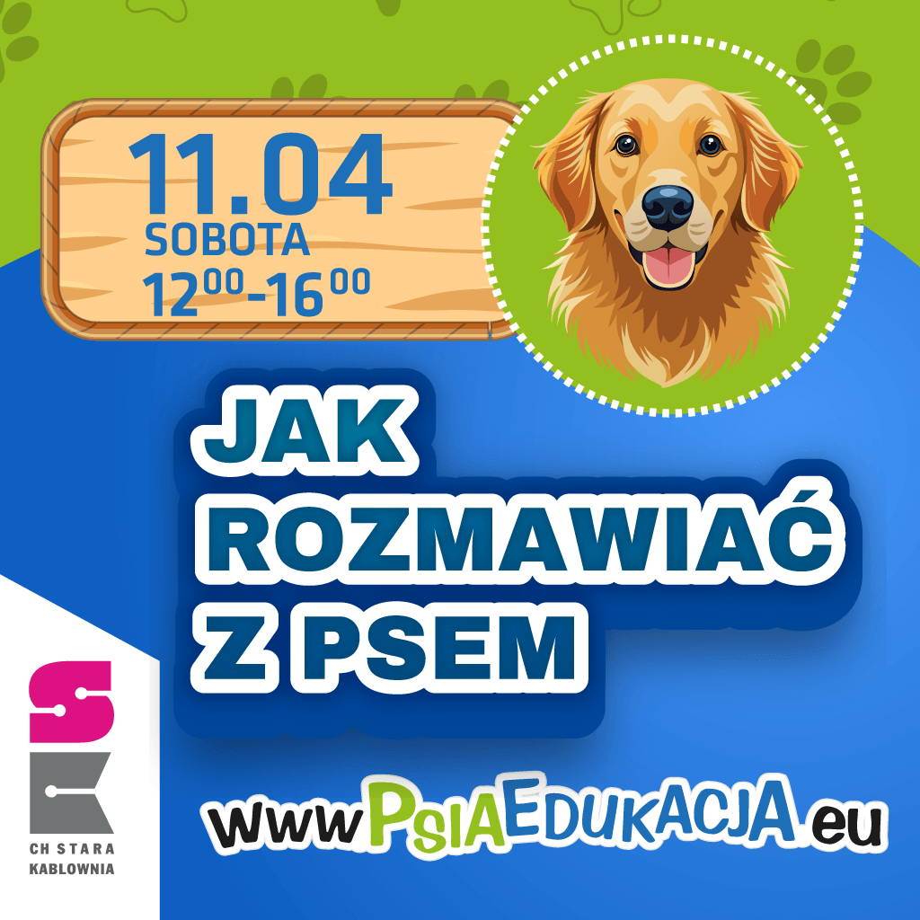 Jak rozmawiać z psem – psia edukacja