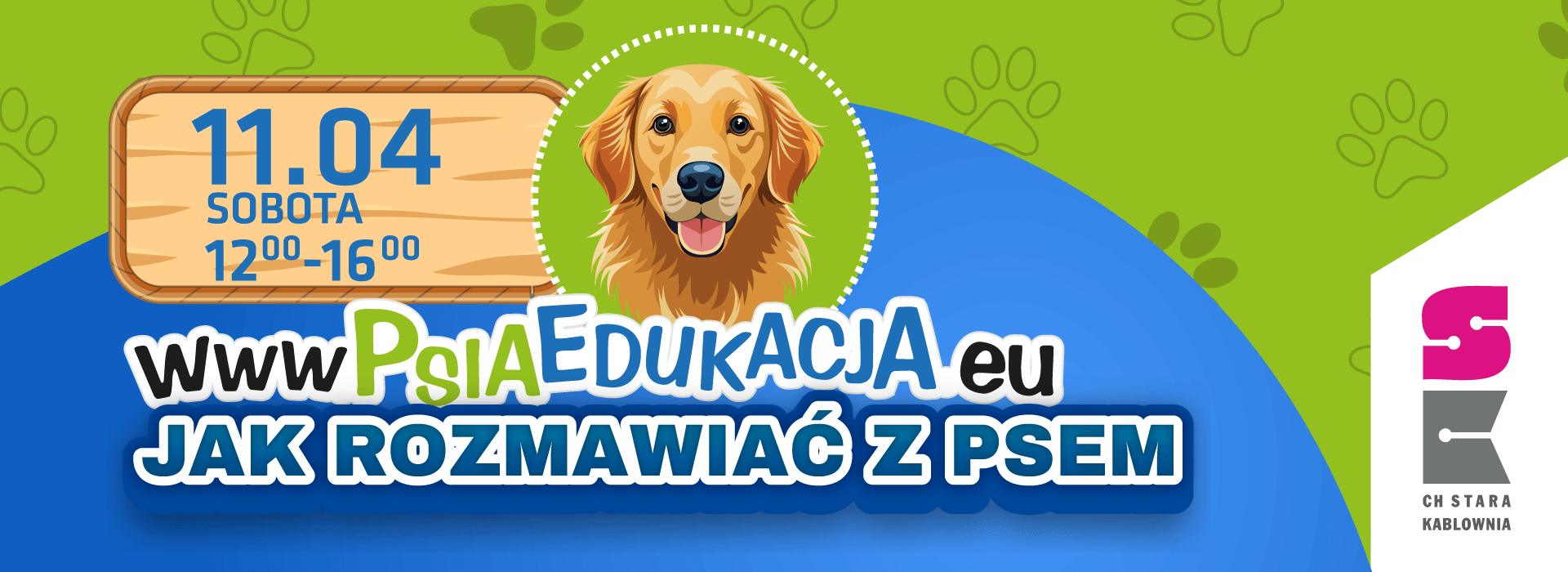 Jak rozmawiać z psem – psia edukacja