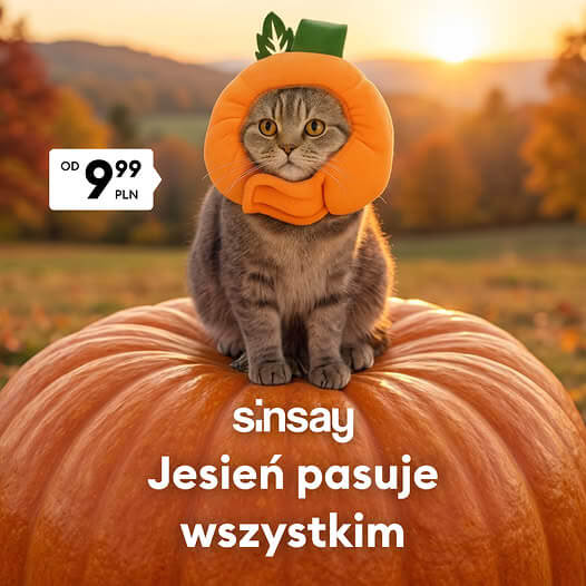 Jesień w Sinsay